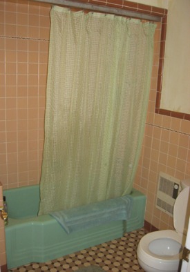 Tub before