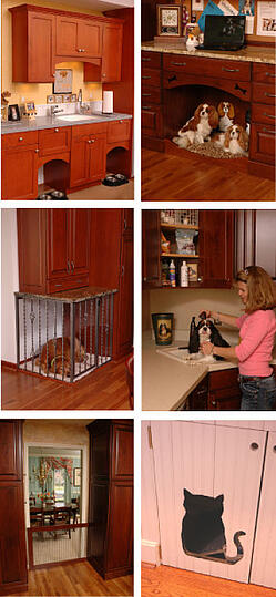 Pet When Remodeling