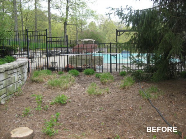 BEFORE pavilion backyard area