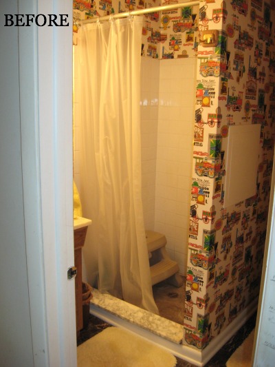 BEFORE shower stall